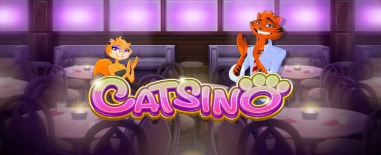Play Catsino