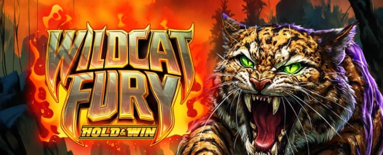 Wildcat Fury 