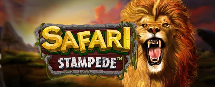 Safari Stampede 